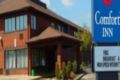 Comfort Inn Meadowvale - Mississauga (ON) ミシサガ（ON） - Canada カナダのホテル