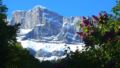 Beautiful chalet with 360 degree views - Chamonix-Mont-Blanc シャモニー モンブラン - France フランスのホテル