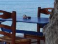 living on the beach - Samos Island サモス - Greece ギリシャのホテル