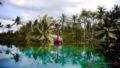 Capung Sakti Villas - Bali バリ島 - Indonesia インドネシアのホテル