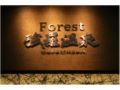 Forest ra Onsen - Hakone 箱根 - Japan 日本のホテル