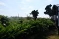 Natural farm ZAMPA 102 garden view - Okinawa Main island 沖縄本島 - Japan 日本のホテル