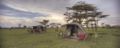 Naboisho Camp Hotel - Narok - Kenya Hotels