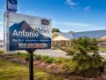 Antonio Mews Motel - Mount Taranaki マウント タラナキ - New Zealand ニュージーランドのホテル