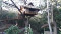 Romantic Tree house at Pirates Diving Resort Coron - Palawan パラワン - Philippines フィリピンのホテル