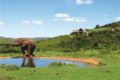 Hopewell Private Game Reserve - Hopewell Game Reserve ホープウェル ゲーム リザーブ - South Africa 南アフリカ共和国のホテル