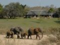 Inyati Game Lodge - Kruger National Park クルガー国立公園 - South Africa 南アフリカ共和国のホテル