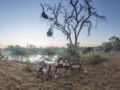 Kings Camp Private Game Reserve - Kruger National Park - South Africa Hotels