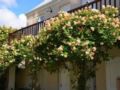 Lemoenkloof Guesthouse - Paarl - South Africa Hotels