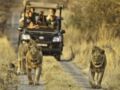 Morokolo Safari Lodge - Pilanesberg - South Africa Hotels