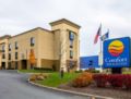 COMFORT INN & SUITES ALBANY - Albany (NY) - United States Hotels