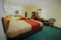 Econo Lodge King's Dominion - South - Ashland (VA) - United States Hotels