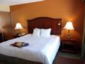 Hampton Inn & Suites Bolingbrook - Bolingbrook (IL) - United States Hotels