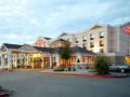 Hilton Garden Inn Anchorage Hotel - Anchorage (AK) - United States Hotels