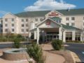 Hilton Garden Inn Auburn Opelika - Auburn (AL) - United States Hotels