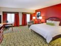 Hilton Garden Inn Chicago - Midway Airport Hotel - Chicago (IL) シカゴ（IL） - United States アメリカ合衆国のホテル