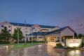 Hilton Garden Inn DFW Airport South - Irving (TX) - United States Hotels