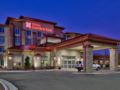 Hilton Garden Inn Gallup NM - Gallup (NM) - United States Hotels