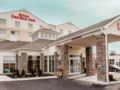Hilton Garden Inn Reagan National Airport - Arlington (VA) - United States Hotels