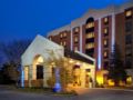 Holiday Inn Express Chicago-Schaumburg - Chicago (IL) - United States Hotels