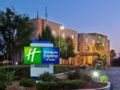 Holiday Inn Express Fremont - Milpitas Central - Fremont (CA) - United States Hotels