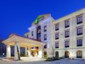 Holiday Inn Express Hotel & Suites Dallas/Stemmons Fwy(I-35) - Dallas (TX) ダラス（TX） - United States アメリカ合衆国のホテル