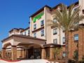 Holiday Inn Hotel & Suites Lake Charles South - Lake Charles (LA) - United States Hotels