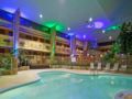 Holiday Inn Schaumburg-Rolling Meadows - Chicago (IL) - United States Hotels