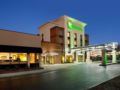 Holiday Inn South County Center - St. Louis - St. Louis (MO) - United States Hotels