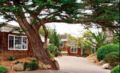 Lighthouse Lodge & Cottages - Monterey (CA) モントレー（CA） - United States アメリカ合衆国のホテル