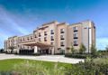 SpringHill Suites Baton Rouge North/Airport - Baton Rouge (LA) - United States Hotels