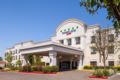 SpringHill Suites Modesto - Modesto (CA) - United States Hotels