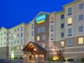 Staybridge Suites-Knoxville Oak Ridge - Oak Ridge (TN) - United States Hotels