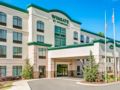 Wingate by Wyndham State Arena Raleigh/Cary - Raleigh (NC) - United States Hotels
