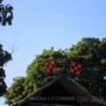 Muong Lo Corner - Ban Coc Lua - Vietnam Hotels